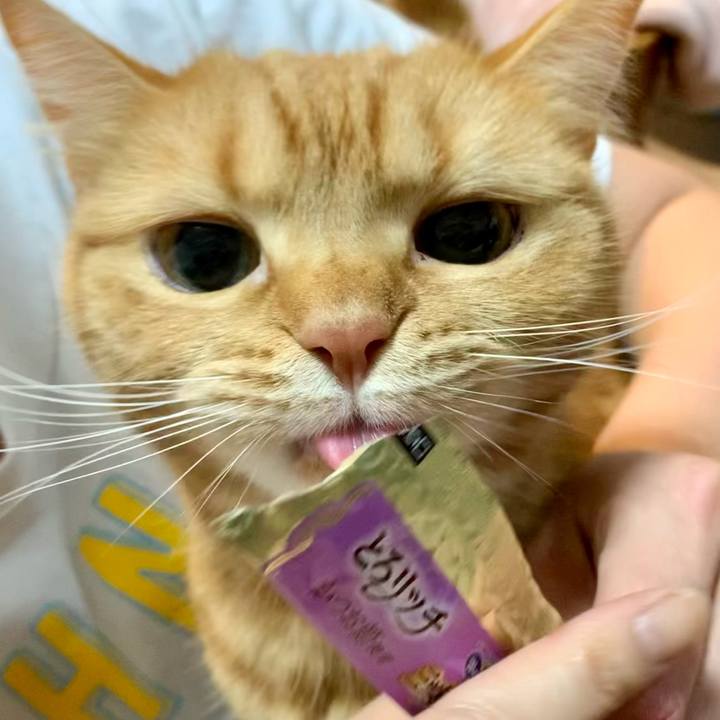 A63e3f26 2903 4321 afc6 09a4acddad9b 1615343888344