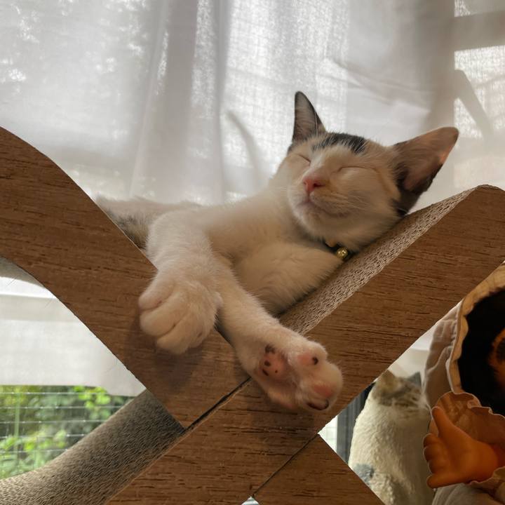 A63e687e e027 4f6d b7ea dce05bf51bc8 1661737938747