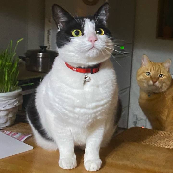 A63e9207 027a 4827 9362 784c16e161b7 1609937544688