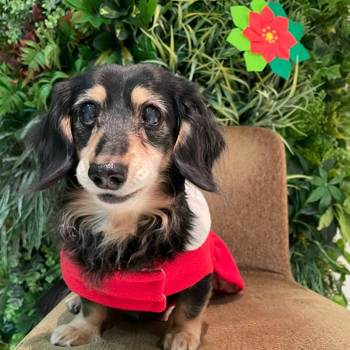 A63eafbc 1e94 4ad5 ae38 bb99ea9c6d29 1671969263141