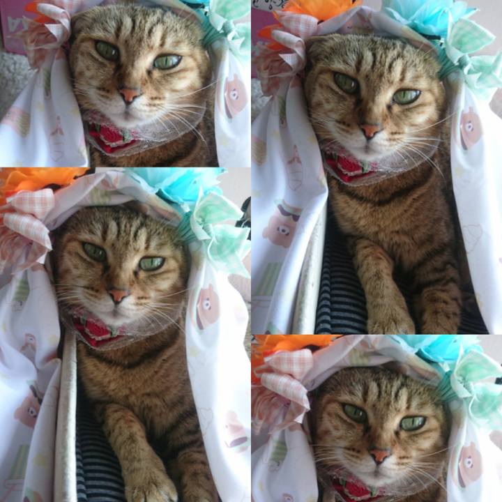 A63eb83d b9df 48c1 b3d6 d0ad0cb724e7 1759533592442