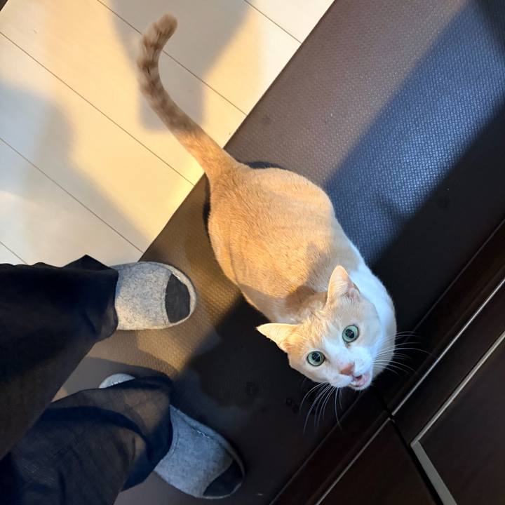 A63f0b23 08d2 4d8d 8da4 f40b0219f877 1767160018540