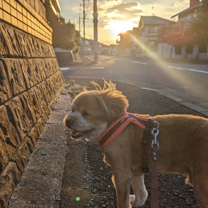 A63f1dfa f176 4604 ae83 4654b17fb4f4 1693217587471