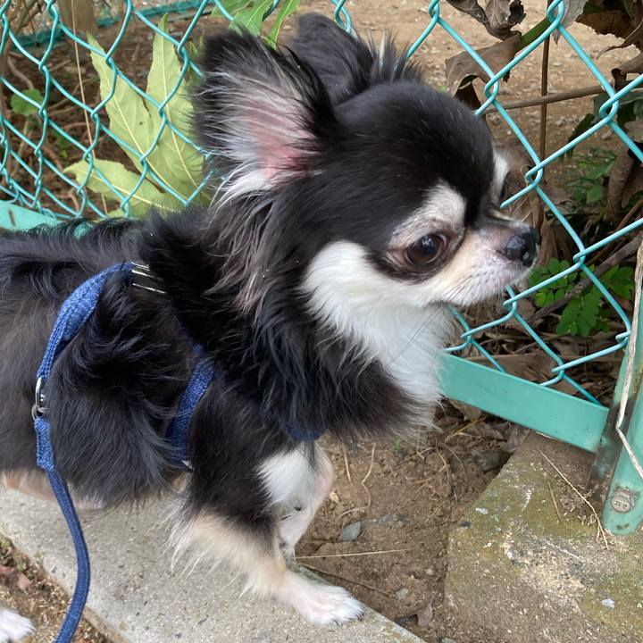 A63faba5 134a 4400 b5d4 5ca1a9c0e7bd 1663474319748