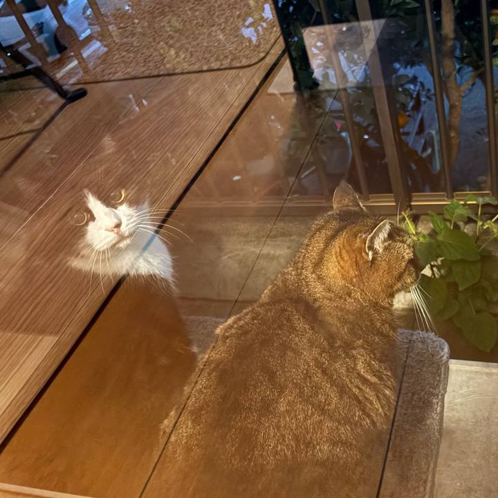 A63fb2b4 8a63 4b36 a46a b7b88fc6c0b0 1766316976413