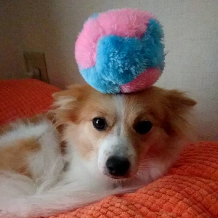 A63fc069 f0a2 49df a0b1 defb8f2dd7fd 1537438118634