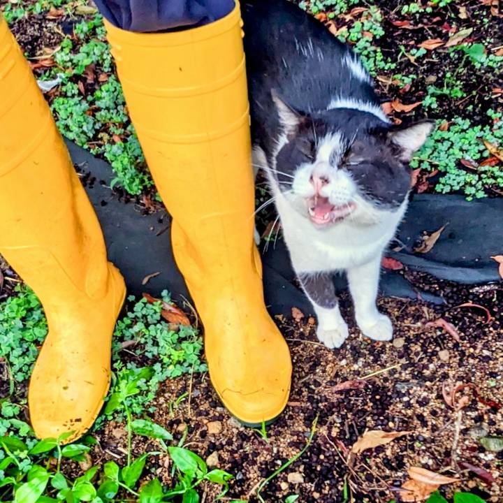 A63fc46b 75d8 4dff bde0 bf61f619ec0a 1757670913047