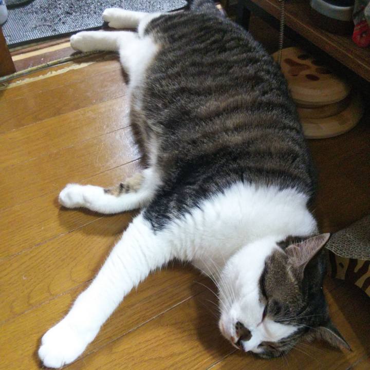 A63ff75a 721a 4b27 ab85 f26e0de487c6 1659908674377