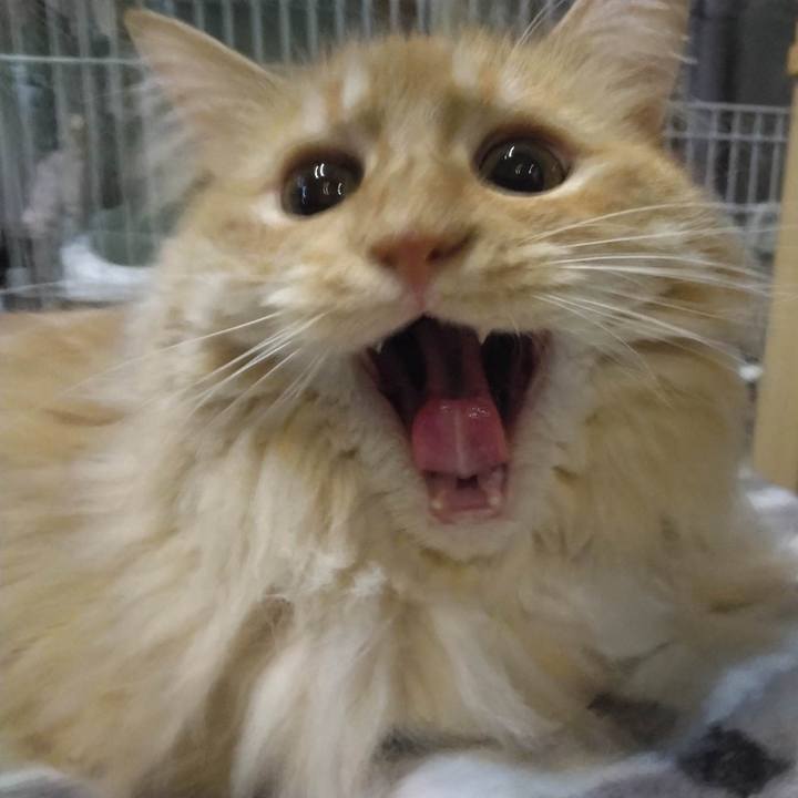 A6404815 fb3a 4a88 9486 6653b04d9b65 1682760973410