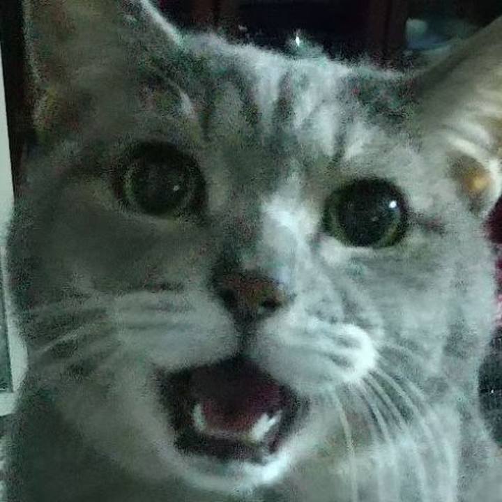 A6406478 d7dc 4946 8f3e c28c48f81a10 1700442258365