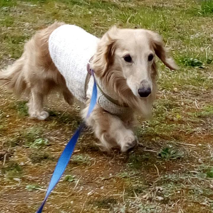 A6406796 9495 4fa6 82f0 d76217e53488 1552658835560