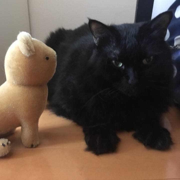 A6406e46 9e7e 4b2c 8d26 45dab490a7fc 1566026688944