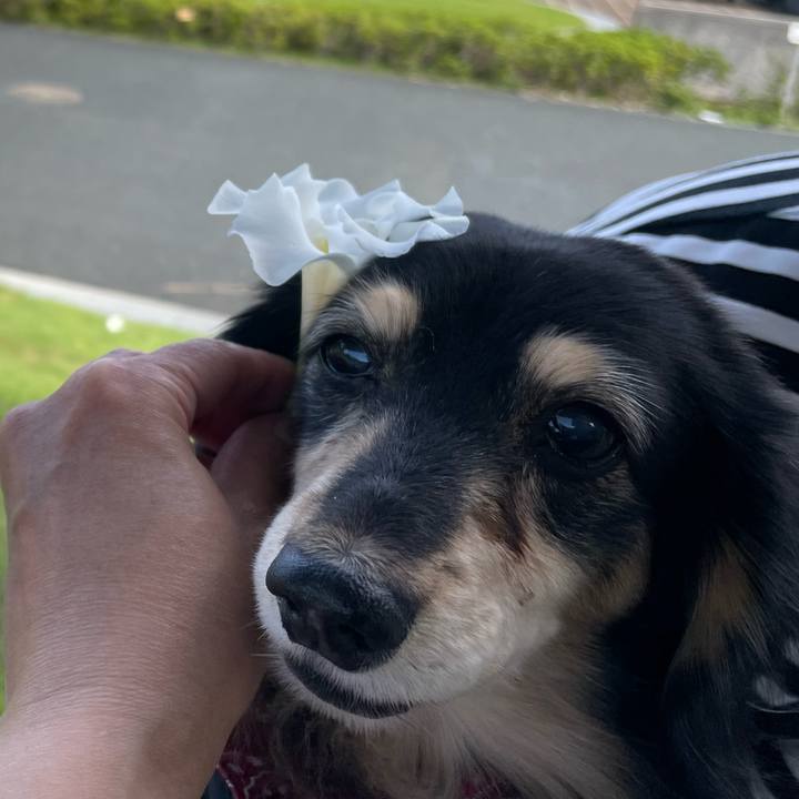 A6408a4c 4c06 477b 95a9 ce3111c6d91d 1666007865849