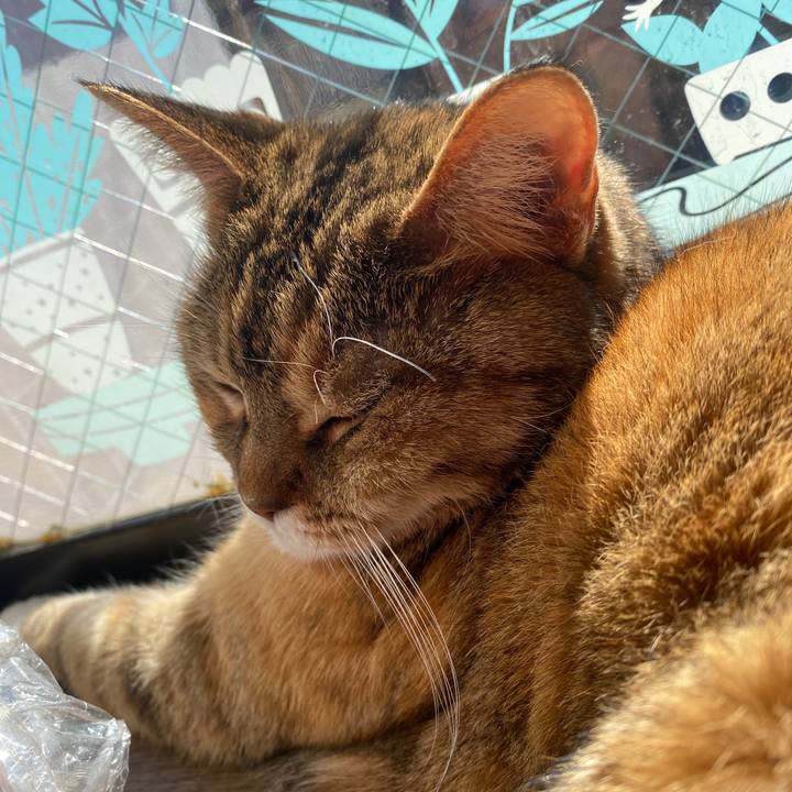 A640acb3 54c1 4d5b afa6 5977691124c0 1645760714844