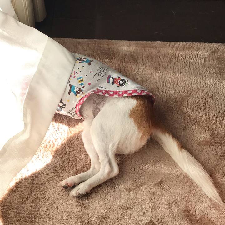 A640c842 a389 46d4 a8f0 719222d9e5c4 1549078216794