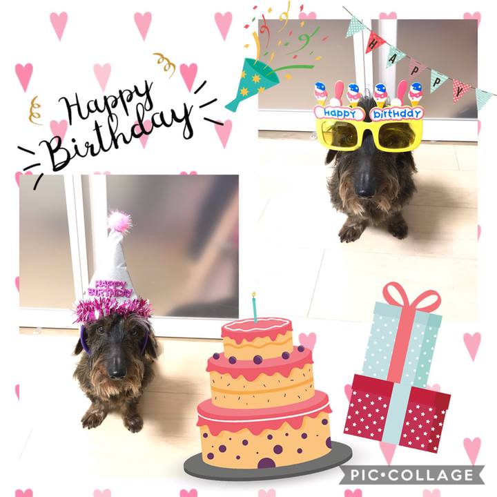 A640e636 d60d 4f3f b4ea 9e1dc7a08141 1556116289046