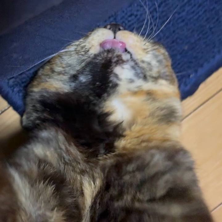 A641094c edbe 45e3 868d 93454ccb2b6b 1770497805712