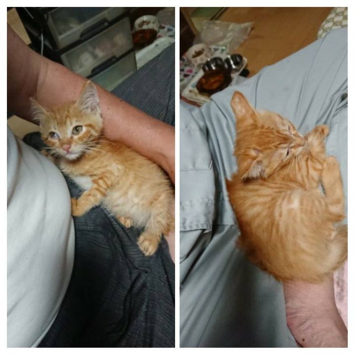 A6416eda 7d5b 47c4 a5b3 9976463ae17a 1629012768644