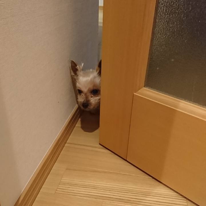 A6418121 8fd2 4298 ae25 93680cc4fc01 1548889134739