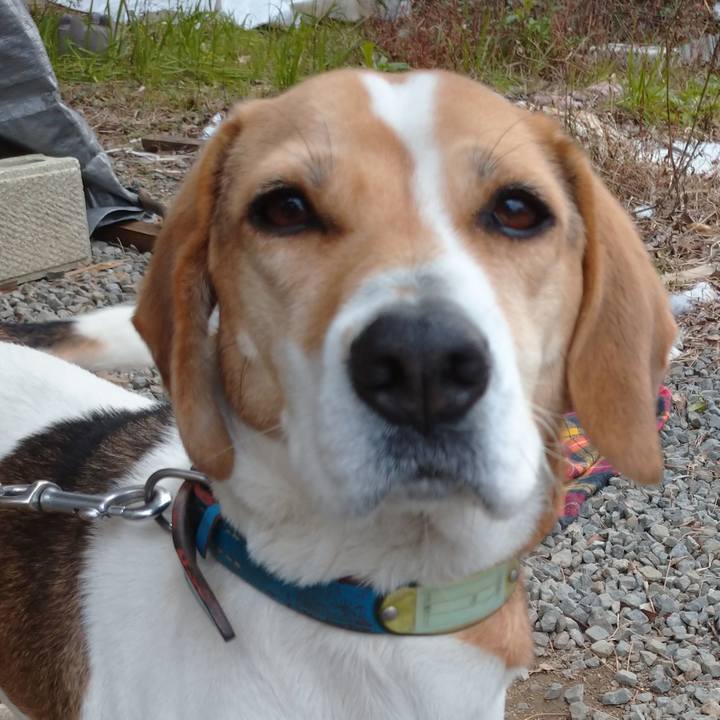 A641a5ea 5f5b 453a af70 5b1d78bb6f6e 1613137248635