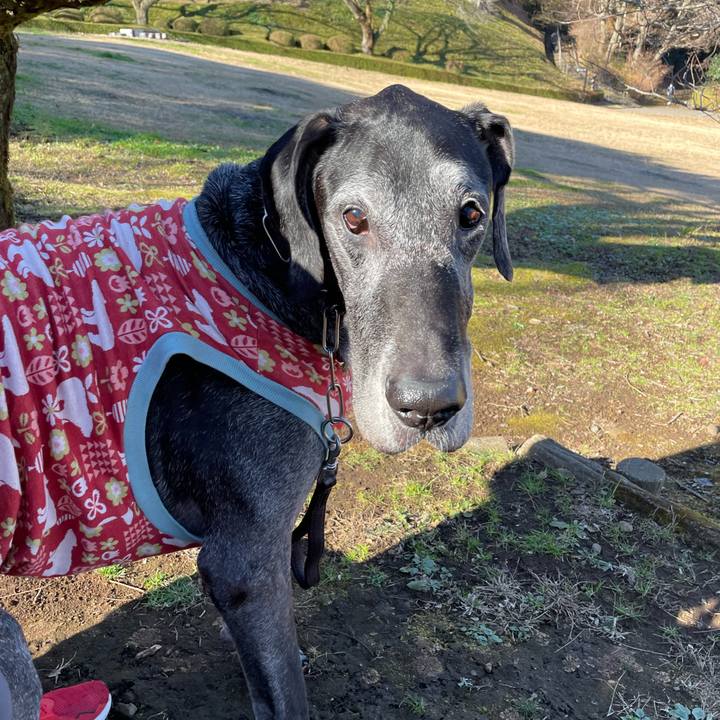 A641d840 d02d 4549 ae5c c372cdb3fe55 1640490749492