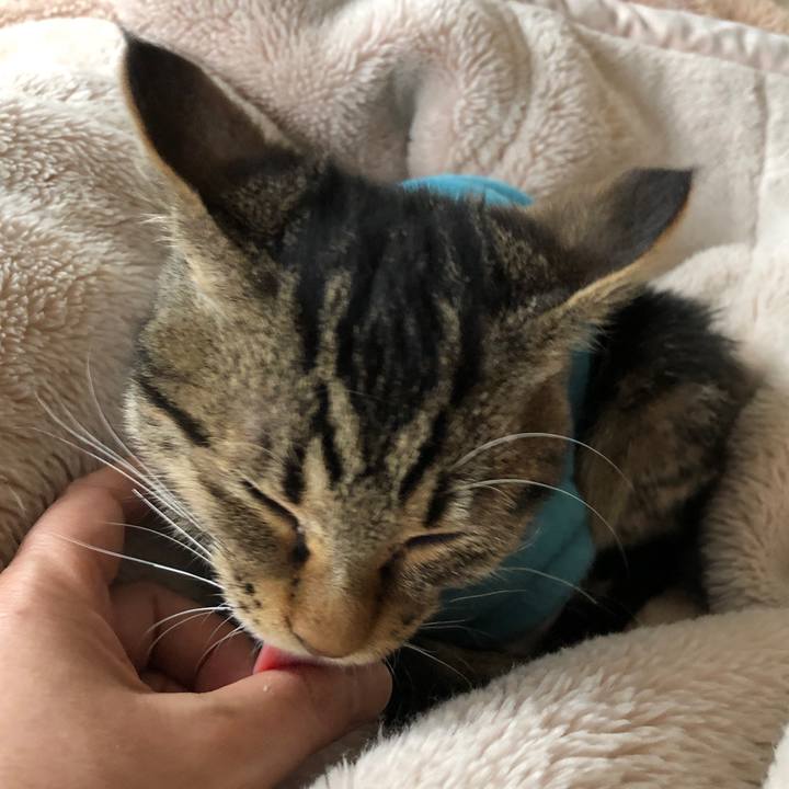 A641d929 cc99 43d1 933f 81caad644eca 1732421475045