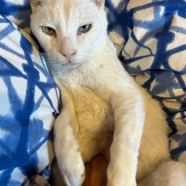 A641f591 40ac 49f3 85aa 3589e7da9c0f 1696719591986