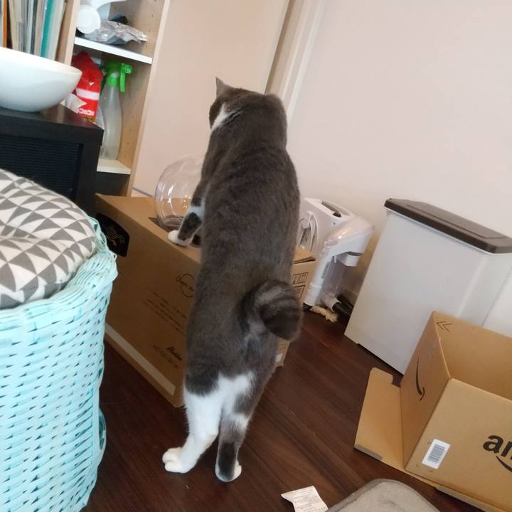 A6422109 bb4b 4bf4 9619 47673dd0a7cb 1649389660358