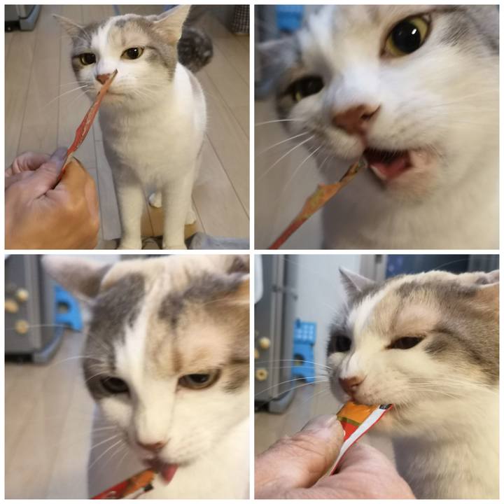 A6422815 7490 4e4a aa83 40e0ec7904c4 1585923931819