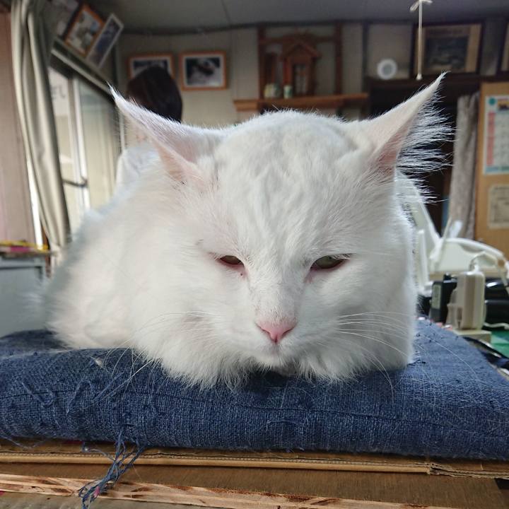 A6428def cf5a 4b98 8312 2534d5944f74 1532298160475