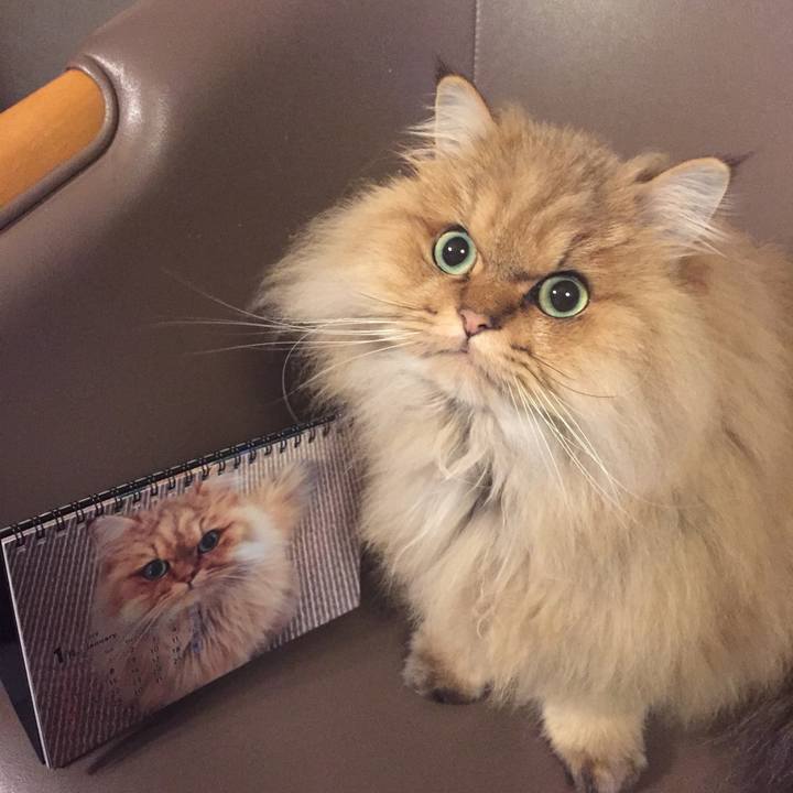 A642ade7 650d 48f8 996b 64ee55127b55 1546093117156