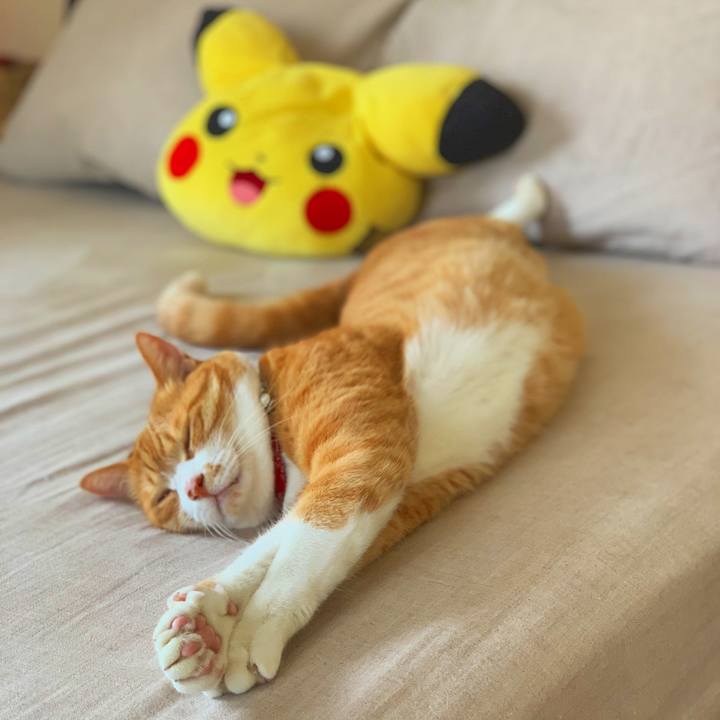 A642d113 3127 4df0 b248 cec97d031e04 1563642164661