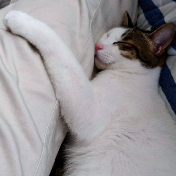 A6430da4 f293 4f74 b9dd 7a5db97ec850 1694524995910