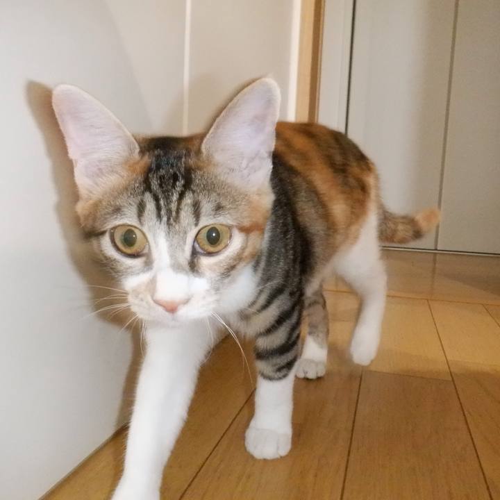 A6430f9a 89ab 4fac b658 67241e0072da 1632702399128