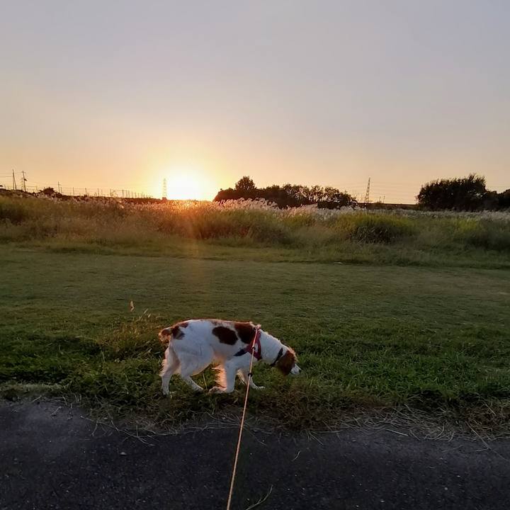 A6431b4f 9bf4 49c1 8620 8fbfcc11e831 1633693860765