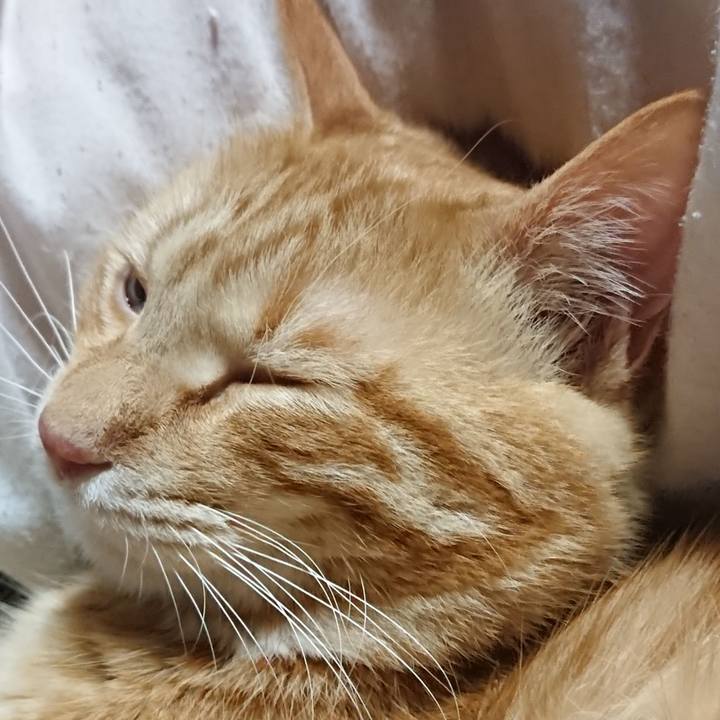 A643392d 49c1 4430 8920 23c4ca22df93 1646053758307