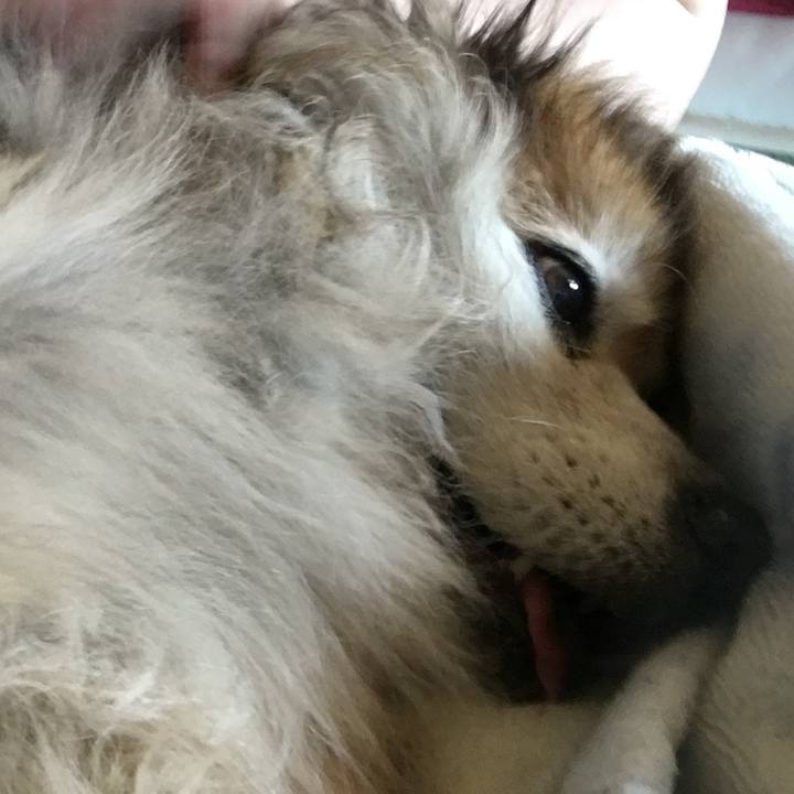 A6434263 896f 455a b86e 9b8c98f86ddb 1585374462813