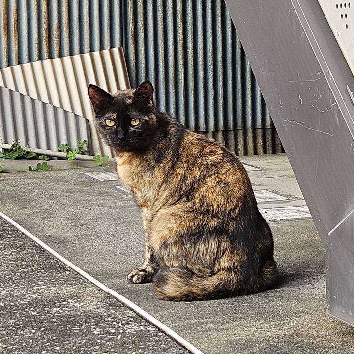 A64343a1 db5f 45b7 81b5 c9728a7bce29 1717233912599