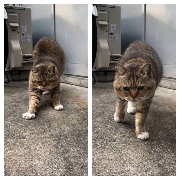 A6437c19 36cd 4c98 9b9b 8168b10bb145 1554079425707