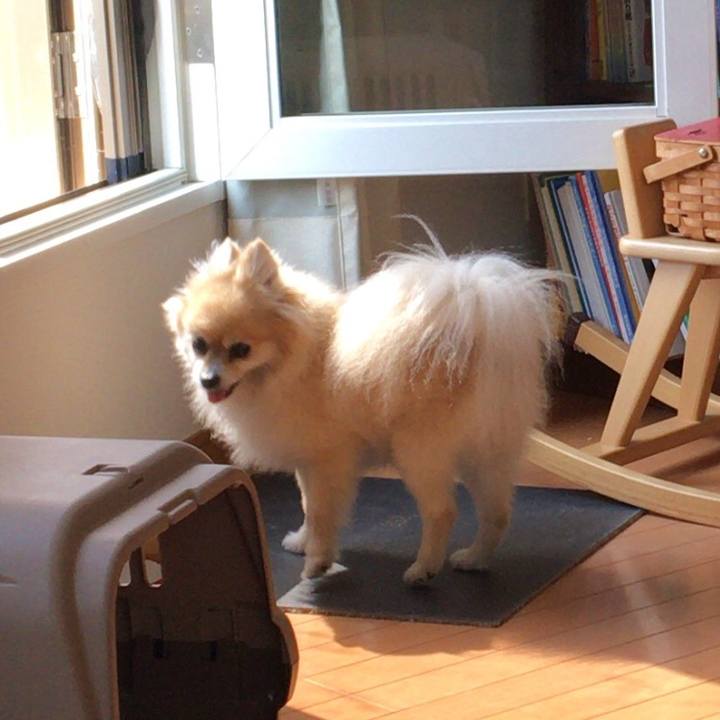 A6438b0d f012 4958 a854 47d79f6b72c8 1566262760611