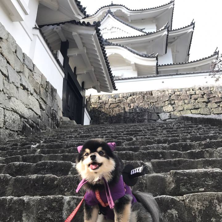 A643bf45 950c 43c6 aefc 485e6c5cb18a 1590064926896