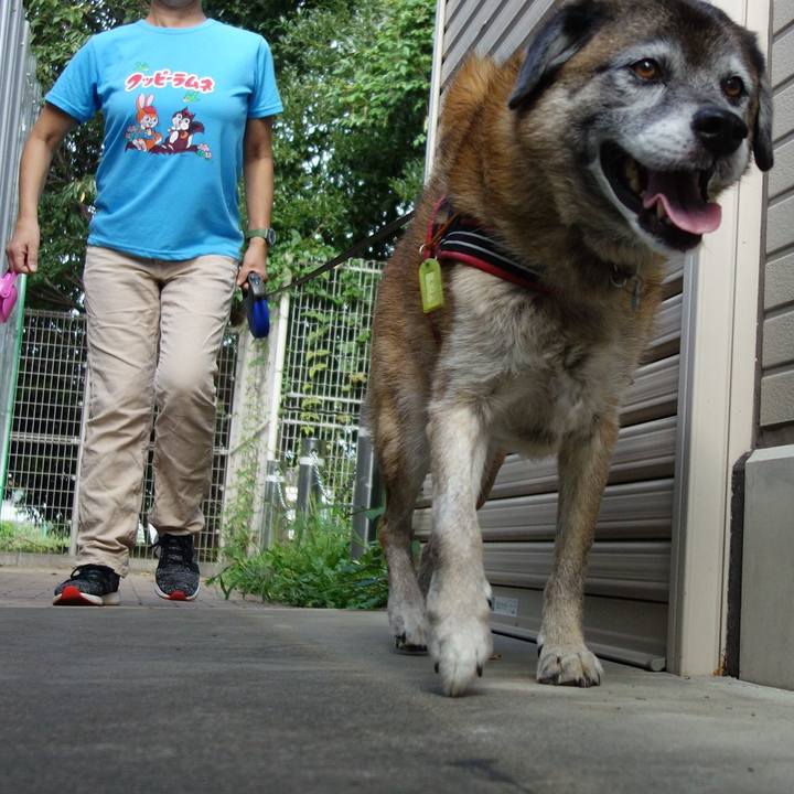 A643ce25 00ad 434f 8832 588e7031db4d 1569115321319