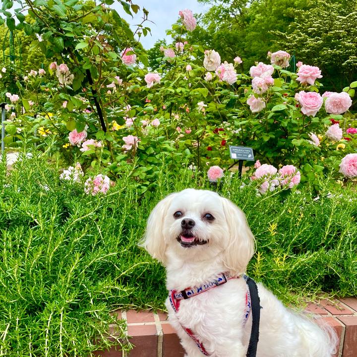 A643cee0 00a5 47a7 8143 0e513677d1d8 1620528940008