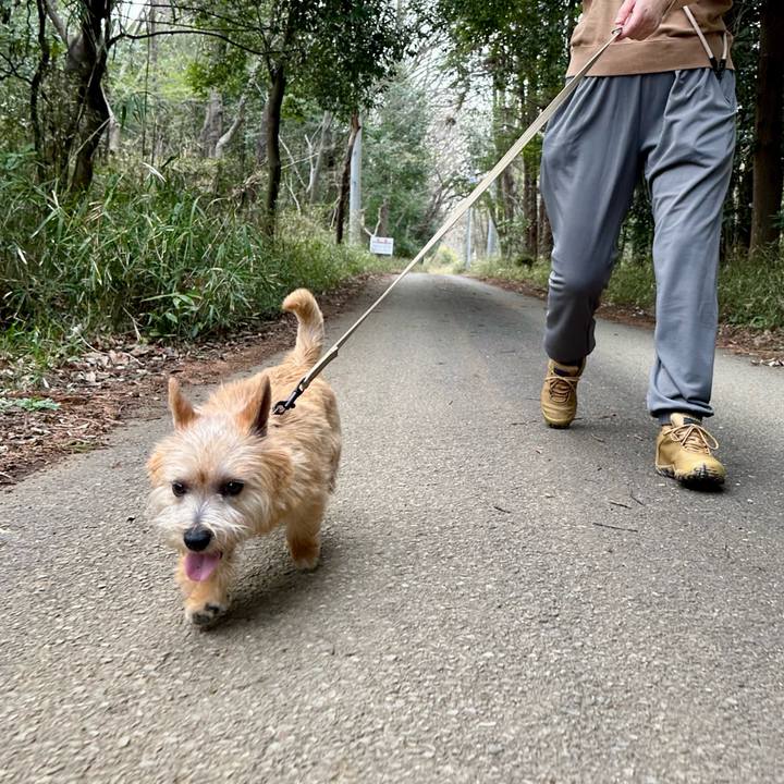 A643e1da 0d20 4c18 a2d4 d9d27348219c 1711861127490