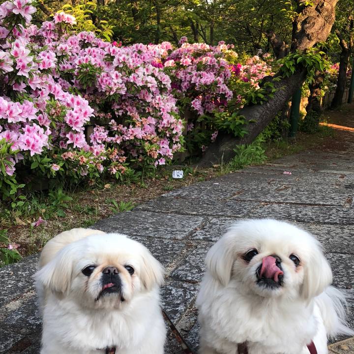 A643e4e3 eedb 45f7 b52f 3d2f6a5f9f1c 1588116442687