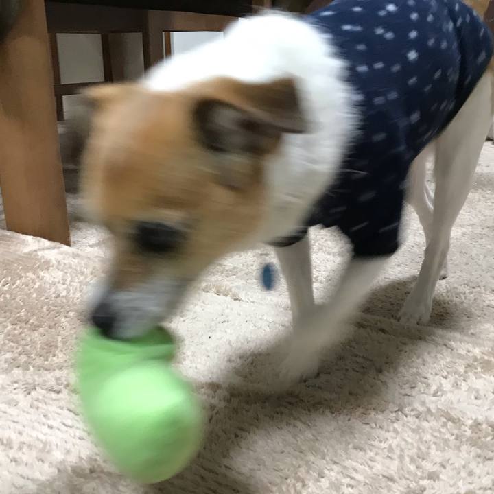 A64424a1 6f0b 4701 9a42 f16c00c91c7c 1553865607452