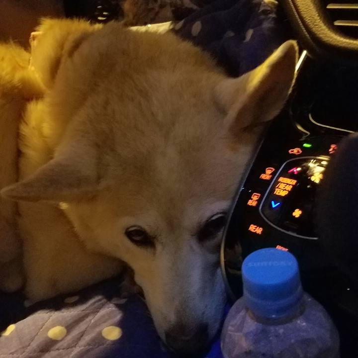 A644364c 9d10 4b8f 8ff6 fd93cb3cd844 1581597811864