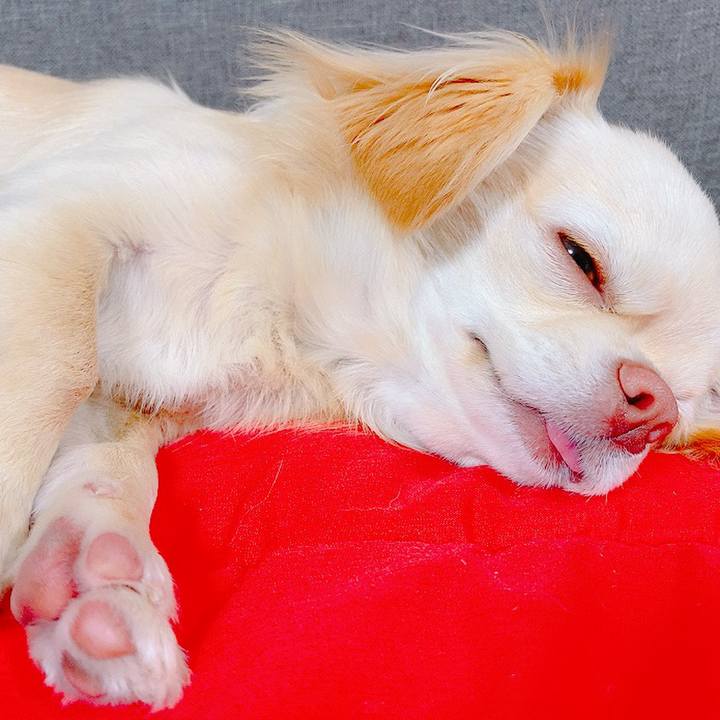 A6446bea ae00 462d 9768 3776e388987d 1620801097604