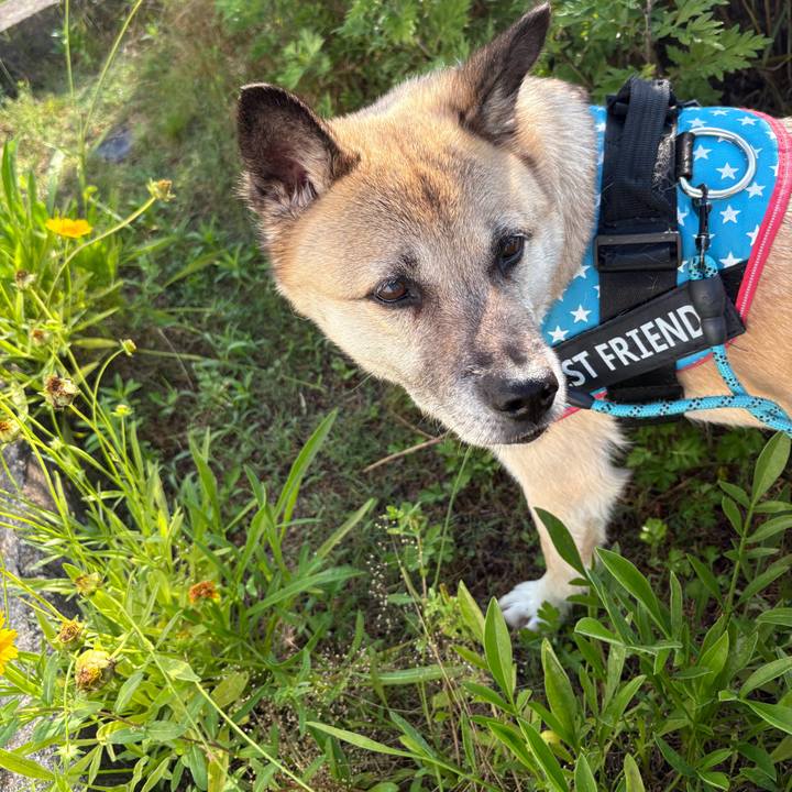 A6446c0c 44f6 48fe 8a4d 7e1ac13a26a4 1750334504446