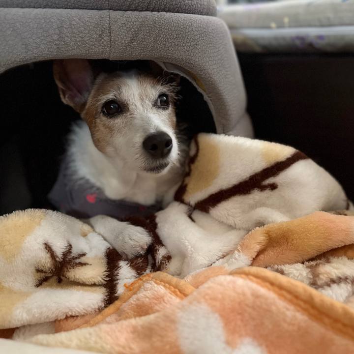 A64479cd 0b97 45d6 9a71 029591d7866a 1755819297842